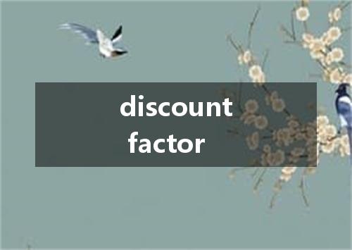 discount factor是什么意思