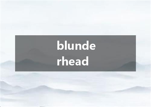 blunderhead是什么意思
