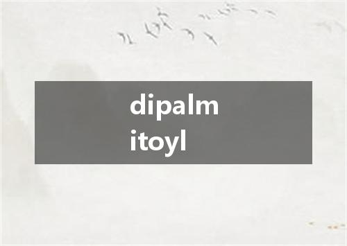 dipalmitoyl是什么意思
