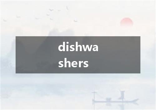 dishwashers是什么意思
