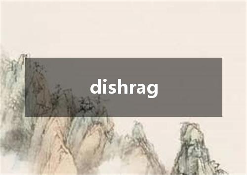 dishrag是什么意思