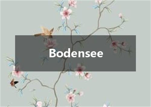 Bodensee是什么意思