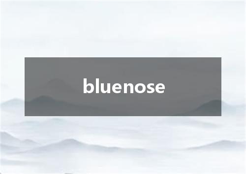 bluenose是什么意思