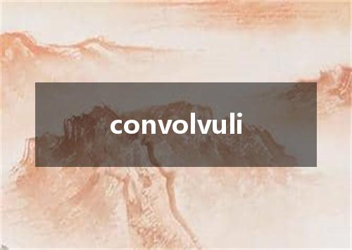 convolvuli是什么意思