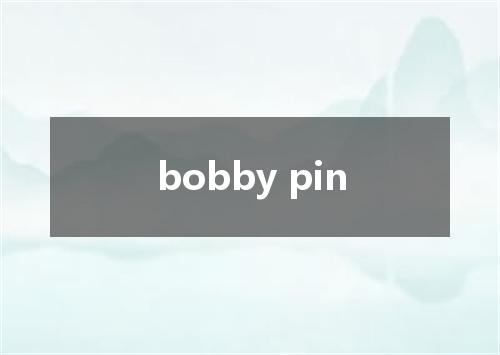 bobby pin是什么意思