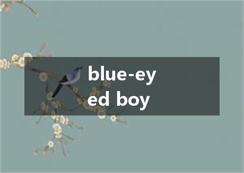 blue-eyed boy是什么意思