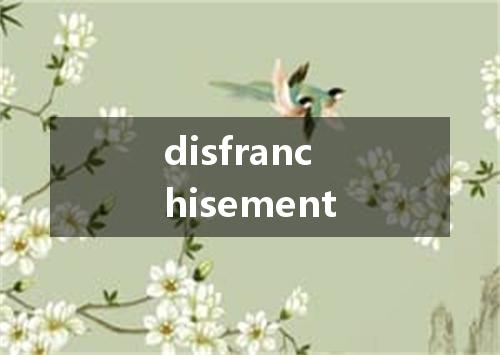 disfranchisement是什么意思