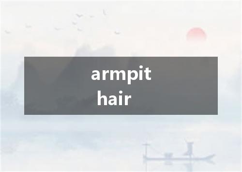 armpit hair是什么意思