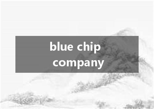 blue chip company是什么意思