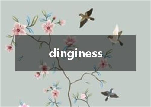 dinginess是什么意思