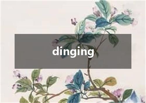 dinging是什么意思