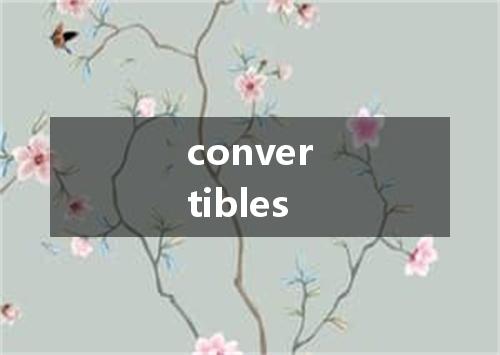 convertibles是什么意思