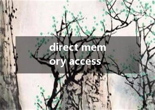 direct memory access是什么意思