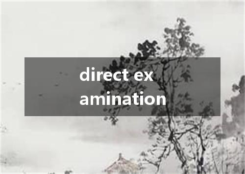 direct examination是什么意思