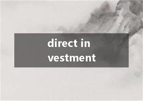 direct investment是什么意思