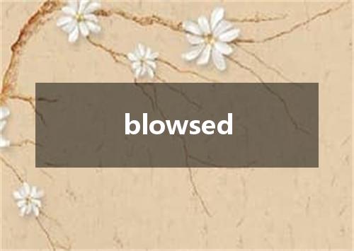blowsed是什么意思