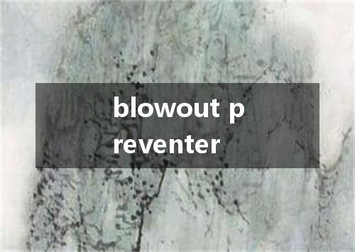 blowout preventer是什么意思