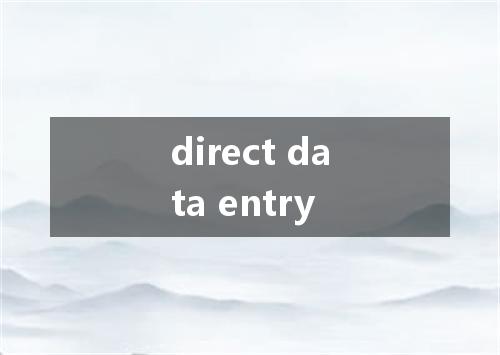 direct data entry是什么意思