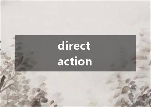direct action是什么意思