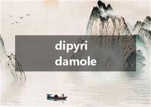 dipyridamole是什么意思