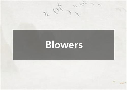 Blowers是什么意思