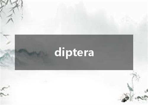 diptera是什么意思
