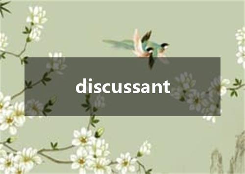discussant是什么意思