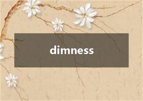 dimness是什么意思