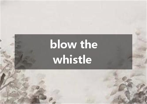 blow the whistle是什么意思