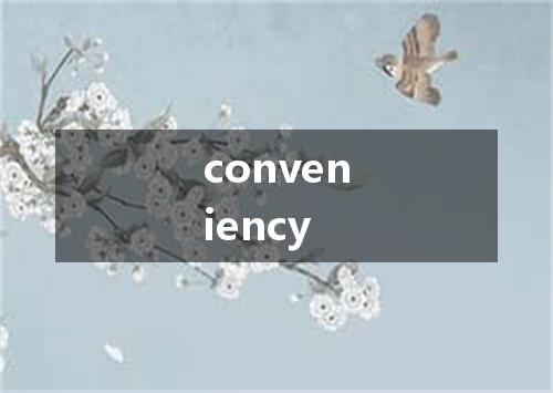 conveniency是什么意思