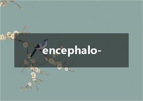 encephalo-是什么意思