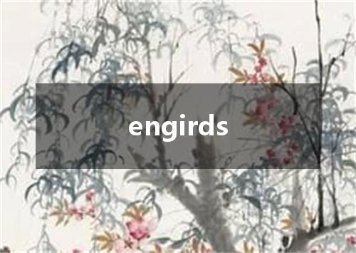 engirds是什么意思