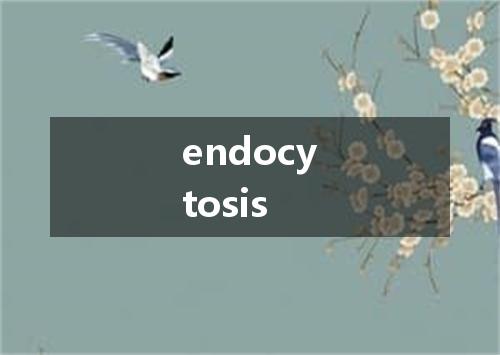 endocytosis是什么意思