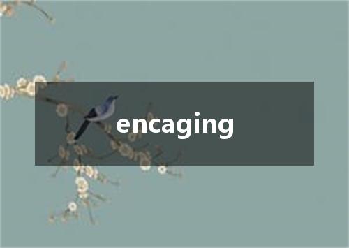 encaging是什么意思