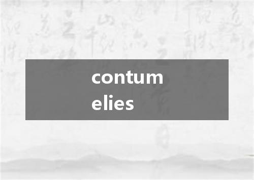 contumelies是什么意思