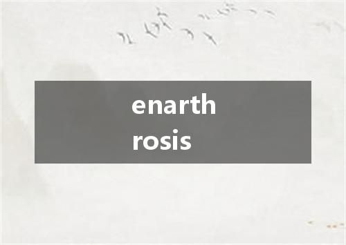 enarthrosis是什么意思