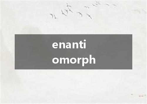 enantiomorph是什么意思
