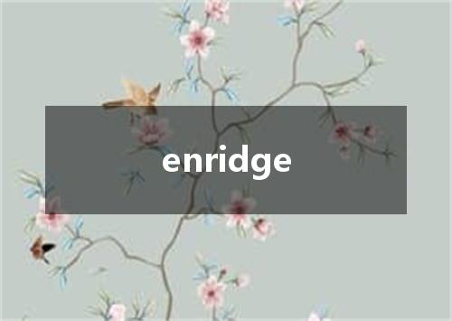 enridge是什么意思