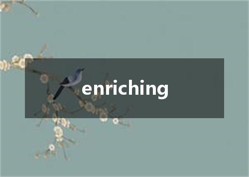 enriching是什么意思