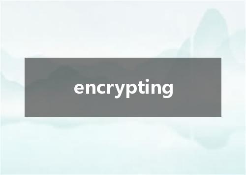 encrypting是什么意思