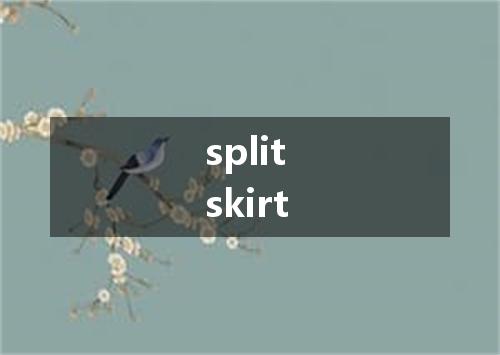 split skirt是什么意思