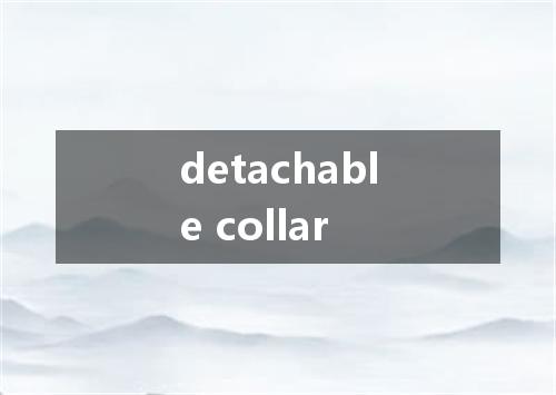 detachable collar是什么意思