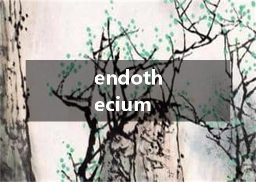 endothecium是什么意思