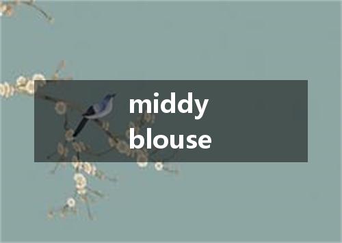 middy blouse是什么意思