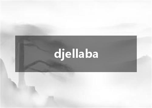 djellaba是什么意思