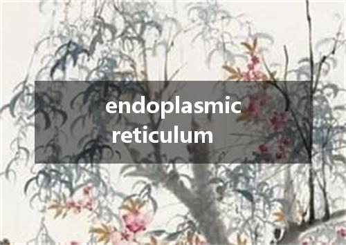 endoplasmic reticulum是什么意思