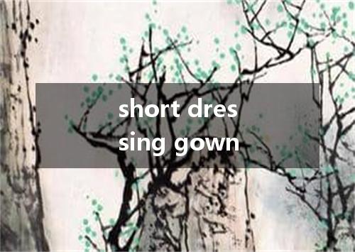 short dressing gown是什么意思