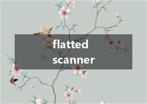 flatted scanner是什么意思