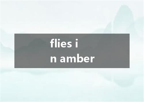 flies in amber是什么意思