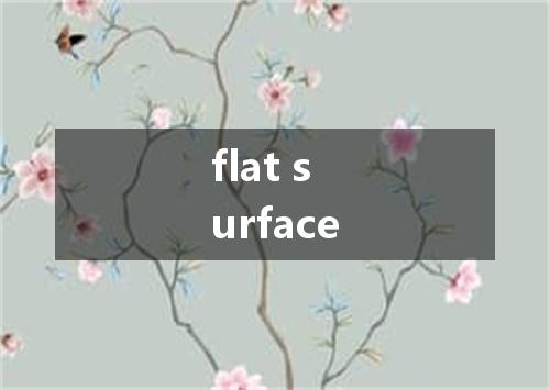 flat surface是什么意思